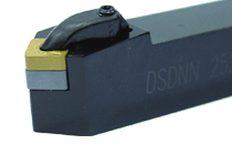 DSDNN