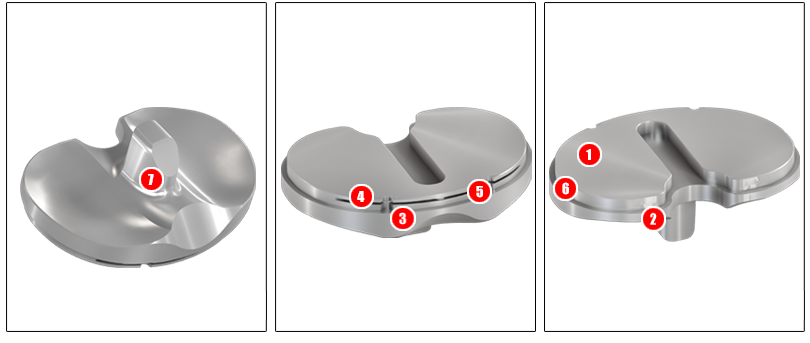 Knee Joint Spacer